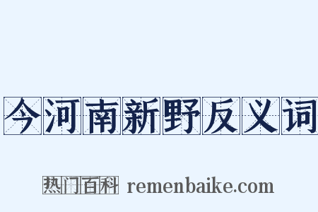 今河南新野反义词是什么意思的图片